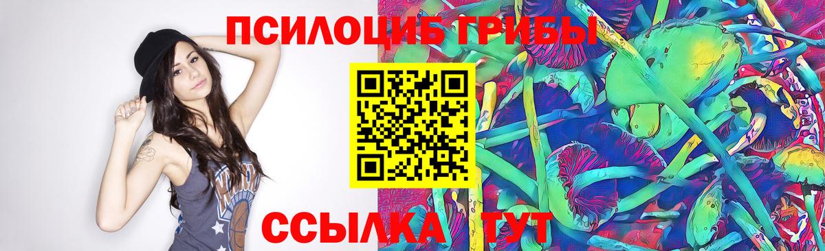 Меф   Балашов  Вход с VPN  Каннабис  Лсд 25 